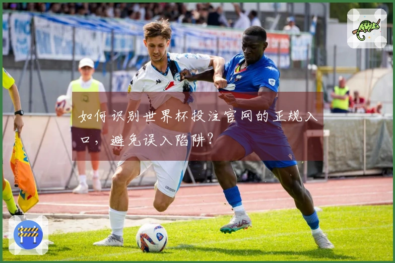 如何识别世界杯投注官网的正规入口，避免误入陷阱？