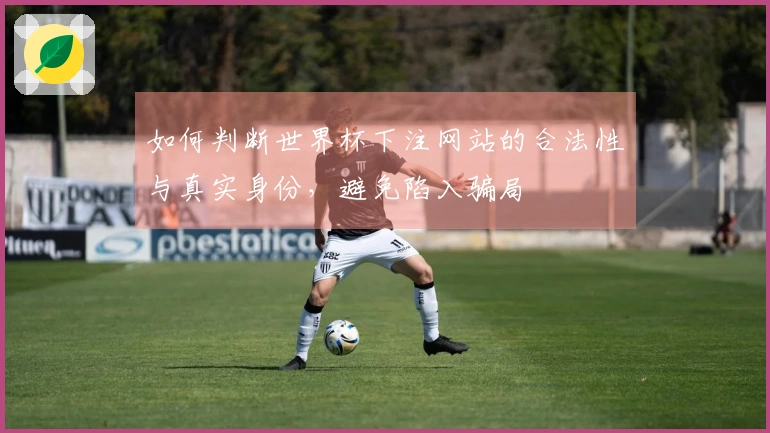 如何判断世界杯下注网站的合法性与真实身份，避免陷入骗局