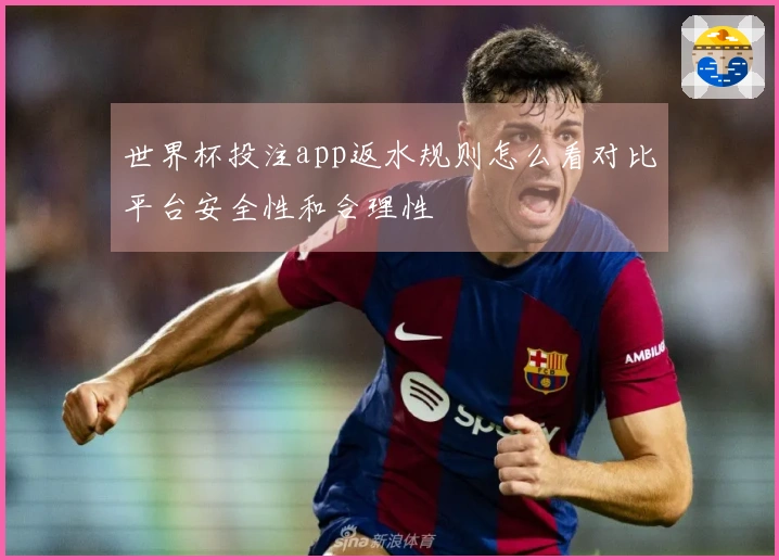 世界杯投注app返水规则怎么看对比平台安全性和合理性