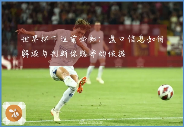 世界杯下注前必知：盘口信息如何解读与判断你赔率的依据