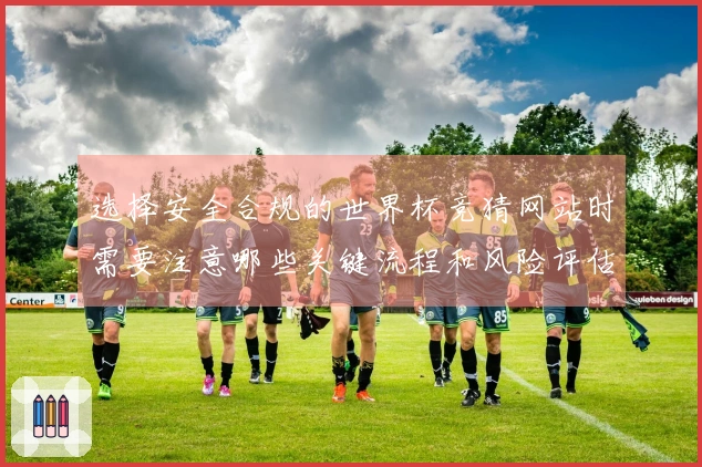 选择安全合规的世界杯竞猜网站时需要注意哪些关键流程和风险评估