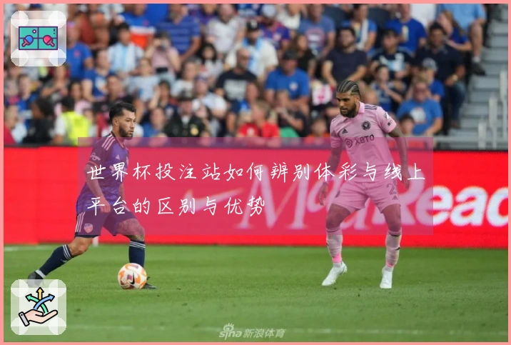 世界杯投注站如何辨别体彩与线上平台的区别与优势