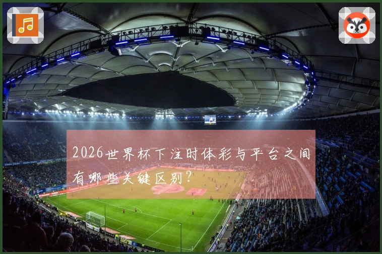 2026世界杯下注时体彩与平台之间有哪些关键区别？