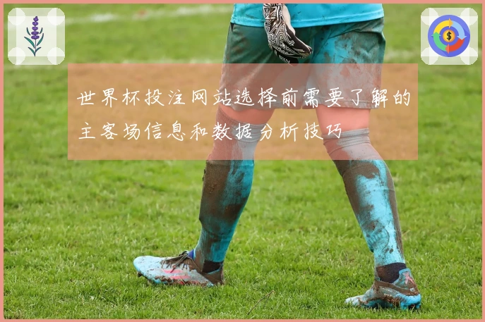 世界杯投注网站选择前需要了解的主客场信息和数据分析技巧