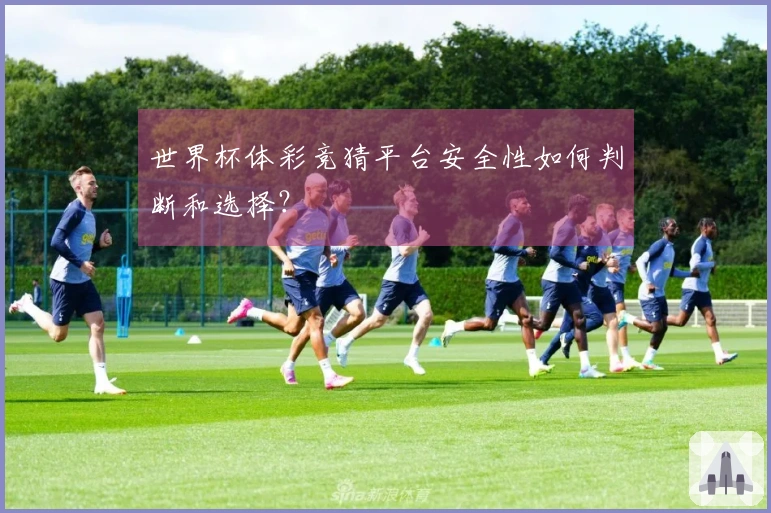 世界杯体彩竞猜平台安全性如何判断和选择？