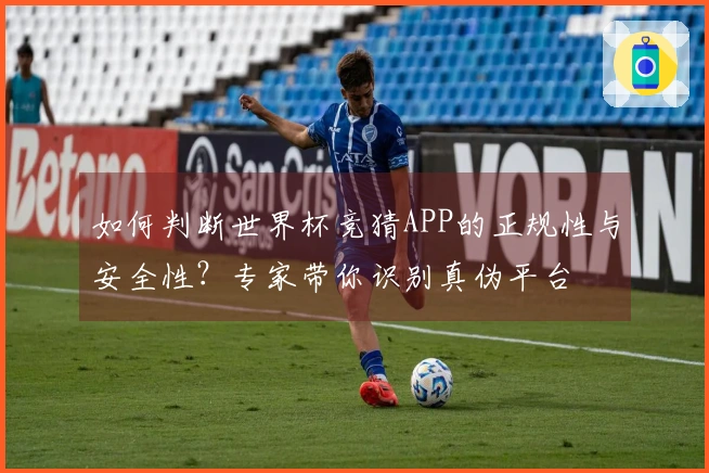 如何判断世界杯竞猜APP的正规性与安全性？专家带你识别真伪平台