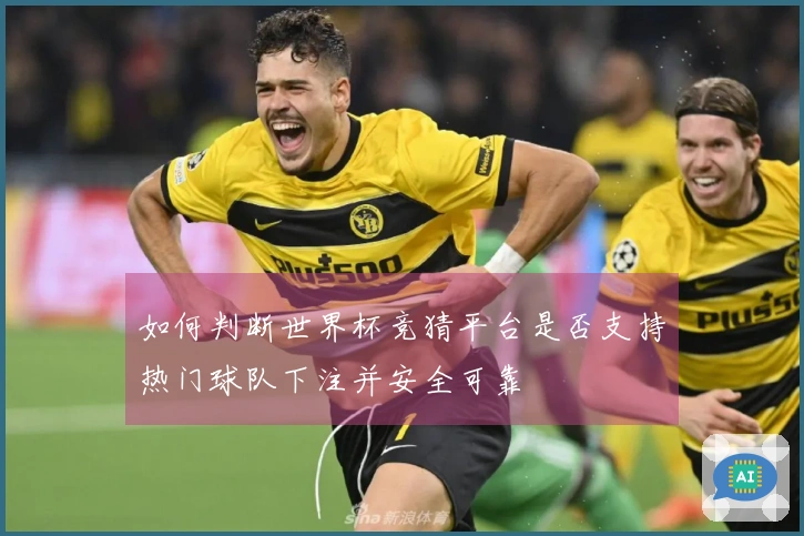 如何判断世界杯竞猜平台是否支持热门球队下注并安全可靠