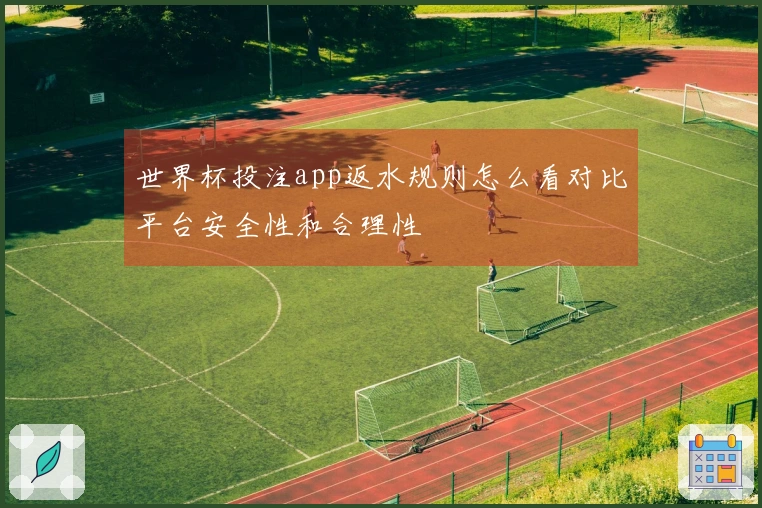 世界杯投注app返水规则怎么看对比平台安全性和合理性