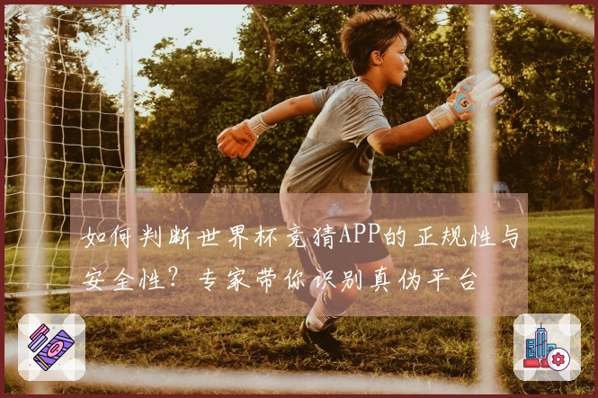 如何判断世界杯竞猜APP的正规性与安全性？专家带你识别真伪平台